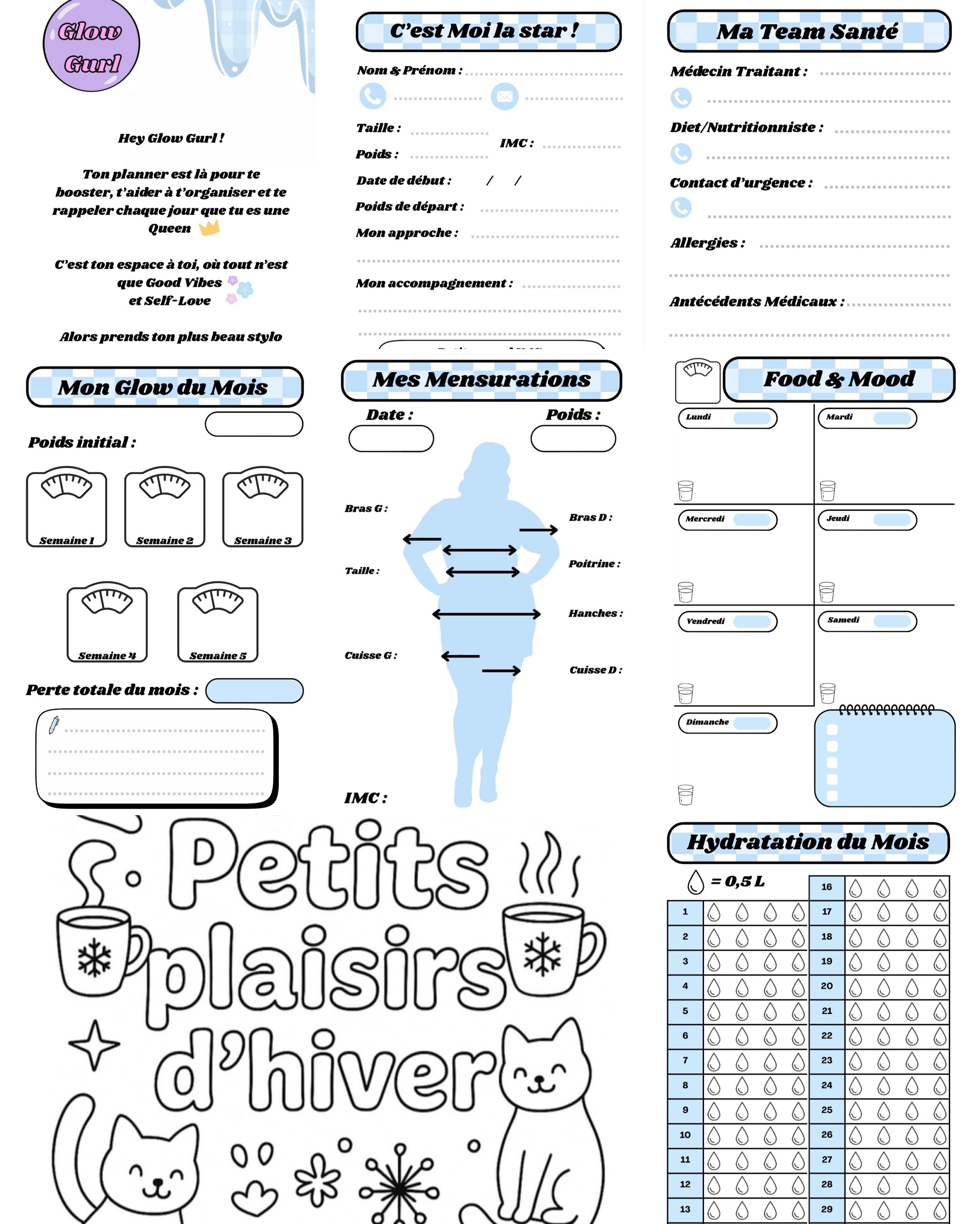 Édition Minceur - Planner Baby Pink / Pages en Bleu