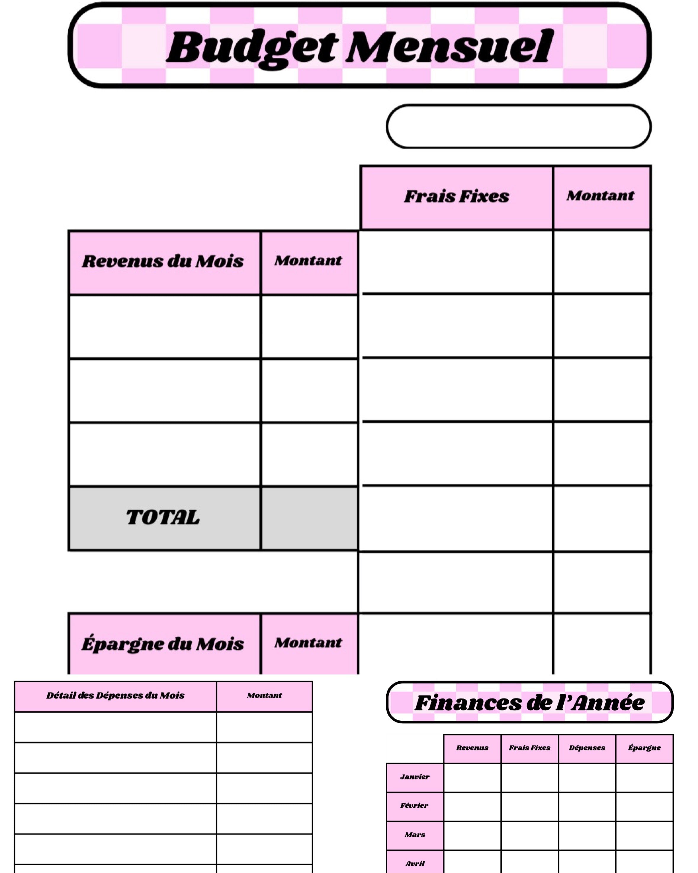 Pack Budget 💰- Rose